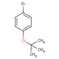 CAS: 60876-70-2 | OR3502 | 1-Bromo-4-(tert-butoxy)benzene