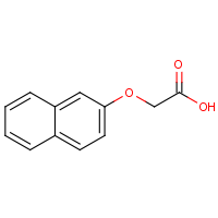 CAS: 120-23-0 | OR350289 | 2-Naphthoxyacetic acid