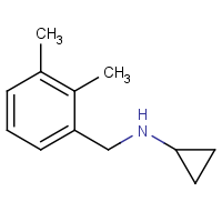 CAS: 625437-38-9 | OR350300 | N-(2,3-Dimethylbenzyl)cyclopropanamine