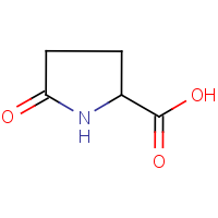 CAS:149-87-1 | OR350322 | DL-Pyroglutamic acid