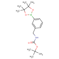 CAS: 832114-05-3 | OR360015 | [3-(4,4,5,5-Tetramethyl-1,3,2-dioxaborolan-2-yl)-benzyl]-carbamic acid tert-butyl ester