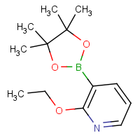 CAS: 848243-23-2 | OR360050 | 2-Ethoxypyridine-3-boronic acid, pinacol ester