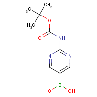CAS:883231-25-2 | OR360099 | [2-(tert-Butoxycarbonylamino)pyrimidin-5-yl]boronic acid