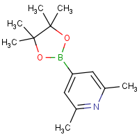 CAS: 325142-95-8 | OR360125 | 2,6-Dimethylpyridine-4-boronic acid, pinacol ester