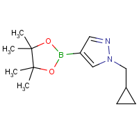 CAS:1000801-75-1 | OR360142 | 1-Cyclopropylmethyl-1H-pyrazole-4-boronic acid, pinacol ester