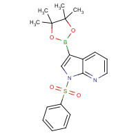 CAS:886547-94-0 | OR360158 | 1-(Phenylsulfonyl)-7-azaindole-3-boronic acid, pinacol ester