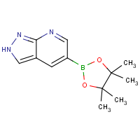 CAS:1093819-50-1 | OR360160 | 1H-Pyrazolo[3,4-b]pyridine-5-boronic acid, pinacol ester