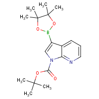 CAS:942070-47-5 | OR360161 | 1-BOC-7-Azaindole-3-boronic acid, pinacol ester