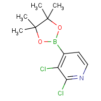 CAS: 1073353-78-2 | OR360192 | 2,3-Dichloropyridine-4-boronic acid, pinacol ester