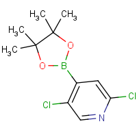 CAS: 1073353-98-6 | OR360193 | 2,5-Dichloropyridine-4-boronic acid, pinacol ester