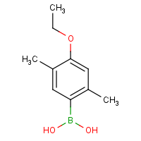 CAS: 1217500-56-5 | OR360204 | 4-Ethoxy-2,5-dimethylphenylboronic acid
