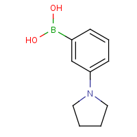 CAS:659731-18-7 | OR360259 | 3-Pyrrolidinophenylboronic acid
