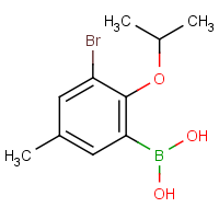 CAS: 870718-01-7 | OR360284 | 3-Bromo-2-isopropoxy-5-methylphenylboronic acid