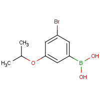 CAS: 871125-81-4 | OR360286 | 3-Bromo-5-isopropoxyphenylboronic acid