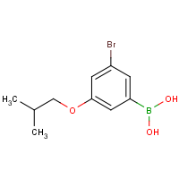 CAS: 918904-39-9 | OR360356 | 3-Bromo-5-isobutoxyphenylboronic acid