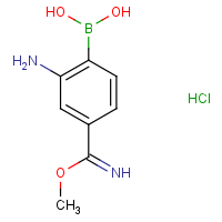 CAS: 1217501-29-5 | OR360369 | 2-Amino-4-(imino(methoxy)methyl)phenylboronic acid hydrochloride