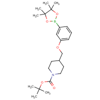 CAS: 1310404-86-4 | OR360430 | 3-(N-BOC-Piperidin-4-ylmethoxy)phenylboronic acid, pinacol ester