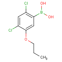 CAS: 1256346-45-8 | OR360525 | 2,4-Dichloro-5-propoxyphenylboronic acid