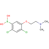 CAS: 1256346-48-1 | OR360528 | 2,4-Dichloro-5-(2-(dimethylamino)ethoxy)phenylboronic acid