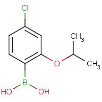 CAS: 1256355-04-0 | OR360534 | 4-Chloro-2-isopropoxyphenylboronic acid