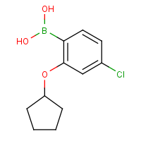 CAS: 1256355-05-1 | OR360535 | 4-Chloro-2-(cyclopentyloxy)phenylboronic acid