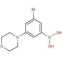 CAS: 1256355-10-8 | OR360538 | 3-Bromo-5-morpholinophenylboronic acid