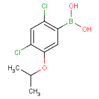 CAS: 325786-18-3 | OR360549 | 2,4-Dichloro-5-isopropoxyphenylboronic acid