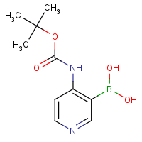 CAS:863752-59-4 | OR360572 | 4-(tert-Butoxycarbonylamino)pyridine-3-boronic acid