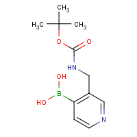 CAS:433969-29-0 | OR360584 | (3-([(tert-Butoxycarbonyl)amino]methyl)pyridin-4-yl)boronic acid
