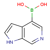 CAS: 1312368-90-3 | OR360658 | 6-Azaindole-4-boronic acid