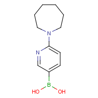 CAS: 1227612-21-6 | OR360659 | 6-(Azepan-1-yl)pyridine-3-boronic acid