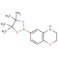 CAS:1155264-46-2 | OR360674 | 2H-1,4-Benzoxazine,3,4-dihydro-6-(4,4,5,5-tetramethyl-1,3,2-dioxaborolan-2-yl)-