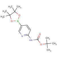 CAS: 910462-31-6 | OR360710 | 2-(BOC-Amino)pyridine-5-boronic acid, pinacol ester