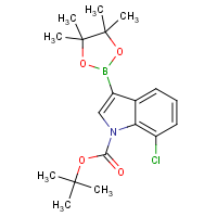 CAS: 1218790-31-8 | OR360721 | 1-BOC-7-Chloroindole-3-boronic acid, pinacol ester