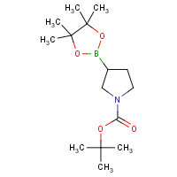 CAS: 1312712-22-3 | OR360752 | 1-Boc-Pyrrolidine-3-boronic acid, pinacol ester