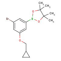 CAS: 1218789-49-1 | OR360778 | 3-Bromo-5-(cyclopropylmethoxy)phenylboronic acid, pinacol ester