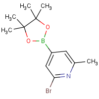 CAS: 1321518-06-2 | OR360801 | 2-Bromo-6-methylpyridine-4-boronic acid, pinacol ester