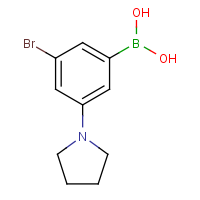 CAS: 1256355-16-4 | OR360814 | 3-Bromo-5-pyrrolidinophenylboronic acid