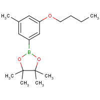 CAS: 1218789-82-2 | OR360833 | 3-Butoxy-5-methylphenylboronic acid, pinacol ester