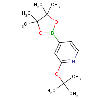CAS: 1256358-89-0 | OR360836 | 2-tert-Butoxypyridine-4-boronic acid, pinacol ester
