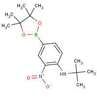 CAS: 1218791-23-1 | OR360839 | 4-(N-tert-Butylamino)-3-nitrophenylboronic acid, pinacol ester