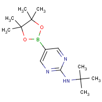 CAS: 1218791-43-5 | OR360842 | 2-tert-Butylaminopyrimidine-5-boronic acid, pinacol ester