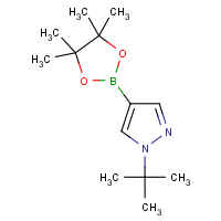 CAS: 1256359-15-5 | OR360855 | 1-tert-Butylpyrazole-4-boronic acid, pinacol ester
