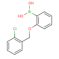 CAS: 870777-21-2 | OR360903 | 2-(2'-Chlorobenzyloxy)phenylboronic acid