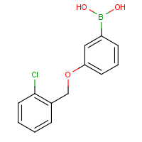 CAS: 845551-45-3 | OR360905 | 3-(2'-Chlorobenzyloxy)phenylboronic acid