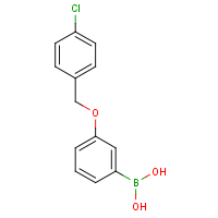 CAS: 870778-90-8 | OR360906 | 3-(4'-Chlorobenzyloxy)phenylboronic acid