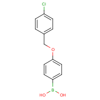 CAS: 870778-91-9 | OR360907 | 4-(4'-Chlorobenzyloxy)phenylboronic acid