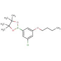 CAS: 1218789-45-7 | OR360908 | 3-Chloro-5-butoxyphenylboronic acid, pinacol ester