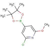CAS: 697739-24-5 | OR360959 | 2-Chloro-6-methoxypyridine-4-boronic acid, pinacol ester