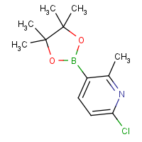 CAS: 1436866-79-3 | OR360976 | 6-Chloro-2-methyl-3-(4,4,5,5-tetramethyl-1,3,2-dioxaborolan-2-yl)pyridine